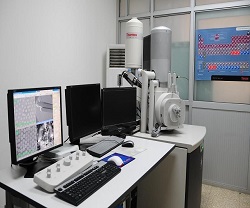 电子扫描显微镜.jpg